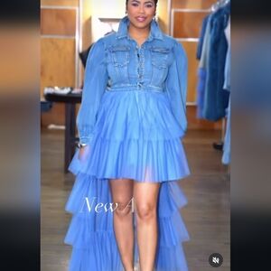 Athina Denim Tulle Hi Low Dress